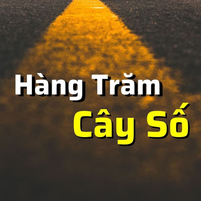 Hàng Trăm Cây Số