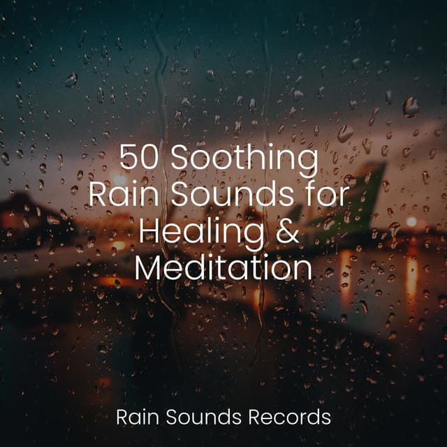 50 Soothing Rain Sounds for Healing & Meditation