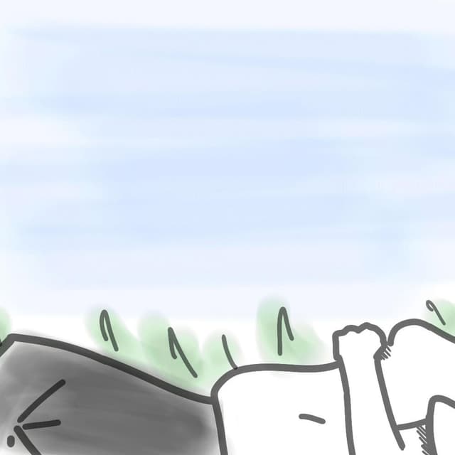 demo 0