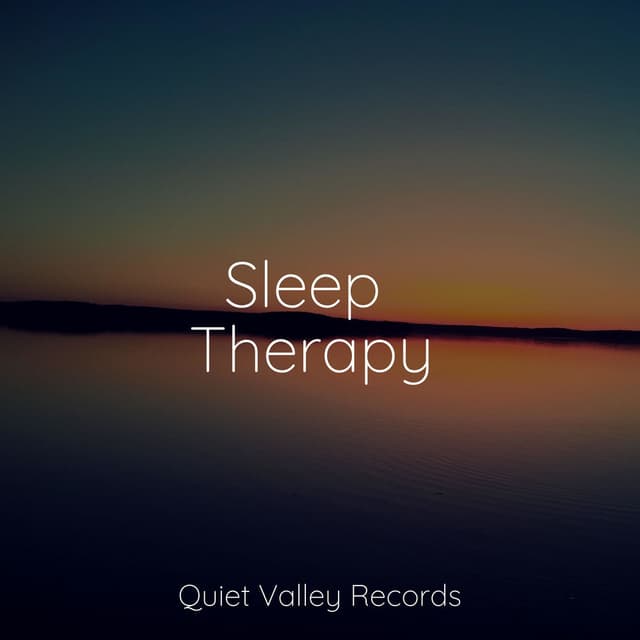 Sleep Therapy