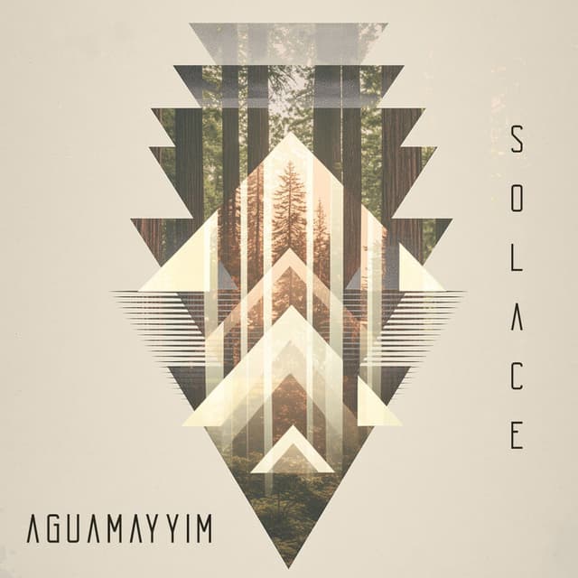 Solace