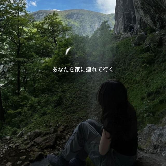 take you home