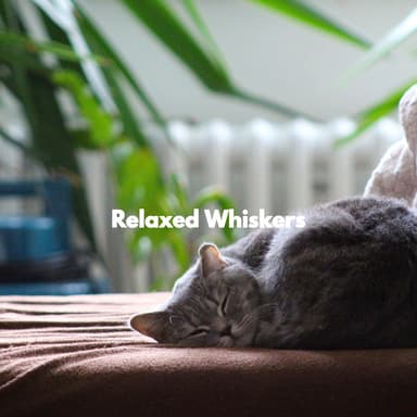 Relaxed Whiskers
