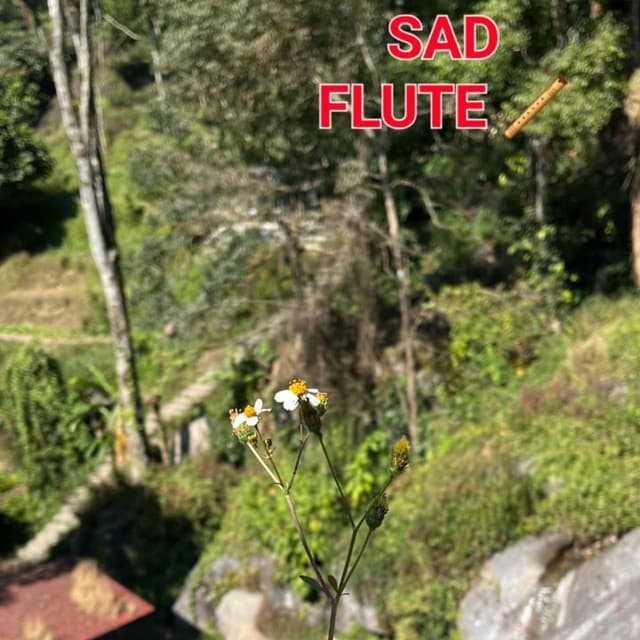 Sad Flute