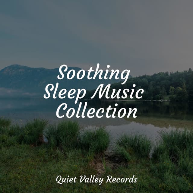 Soothing Sleep Music Collection