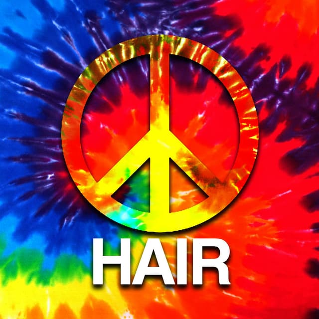 Hair (A Rock Musical)