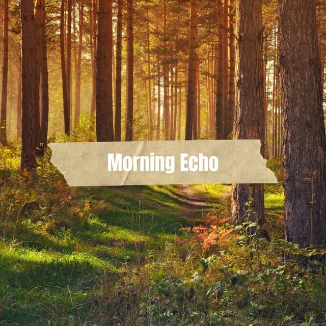 Morning Echo