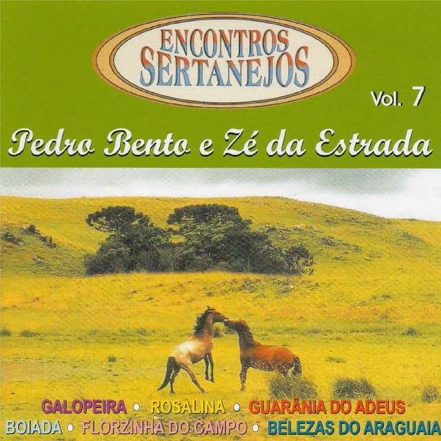 Encontros Sertanejos, Vol. 7