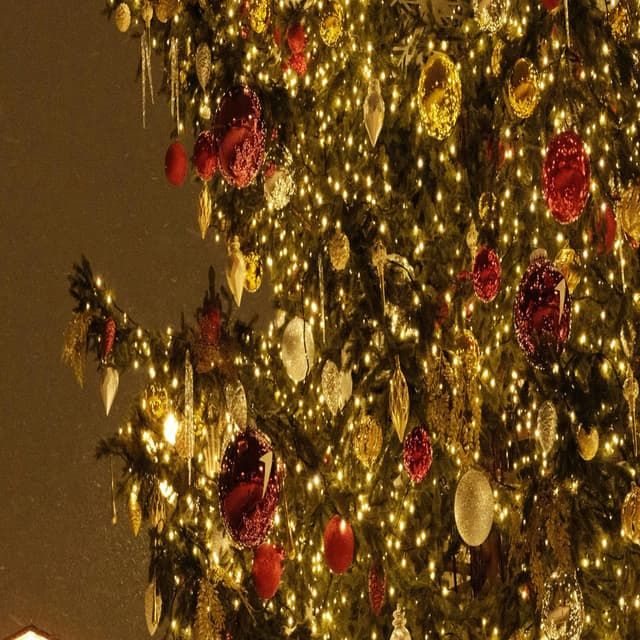 All i want this Christmas Night (Version jazzy )