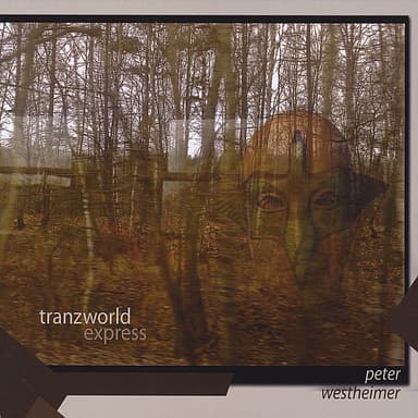 Tranzworld Express