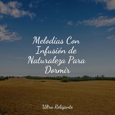 Melodías Con Infusión de Naturaleza Para Dormir