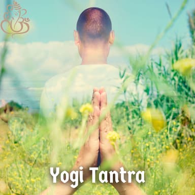 Yogi Tantra (Volume 2)