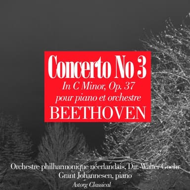Piano Concerto No. 3 In C Minor, Op. 37: Iii. Rondo