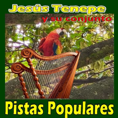 Pistas Populares Vol. 3