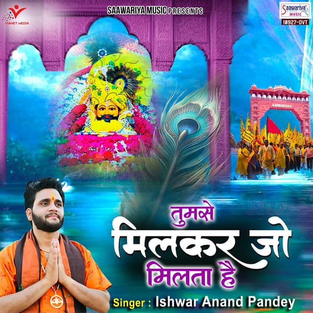 Tumse Milkar Jo Milta Hai