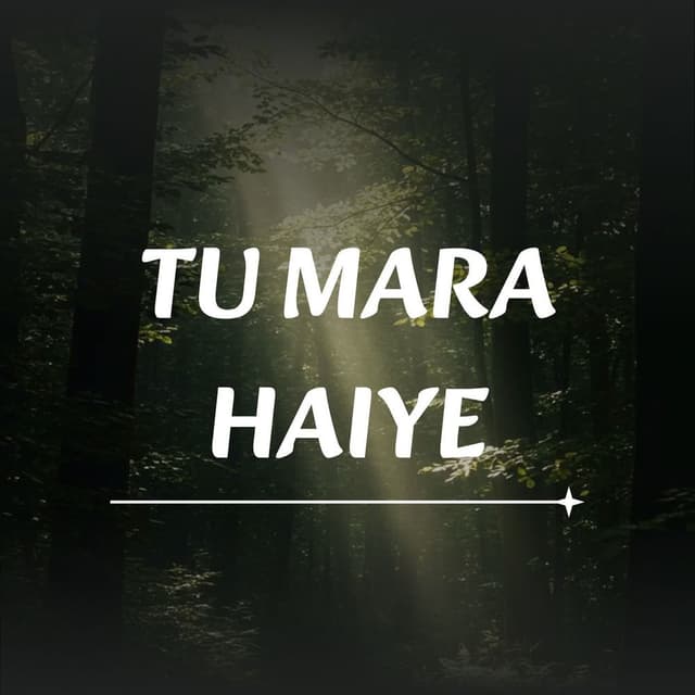 Tu Mara Haiye