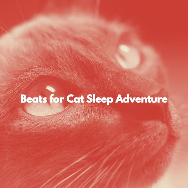 Beats for Cat Sleep Adventure