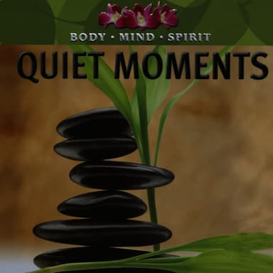 Quiet Moments