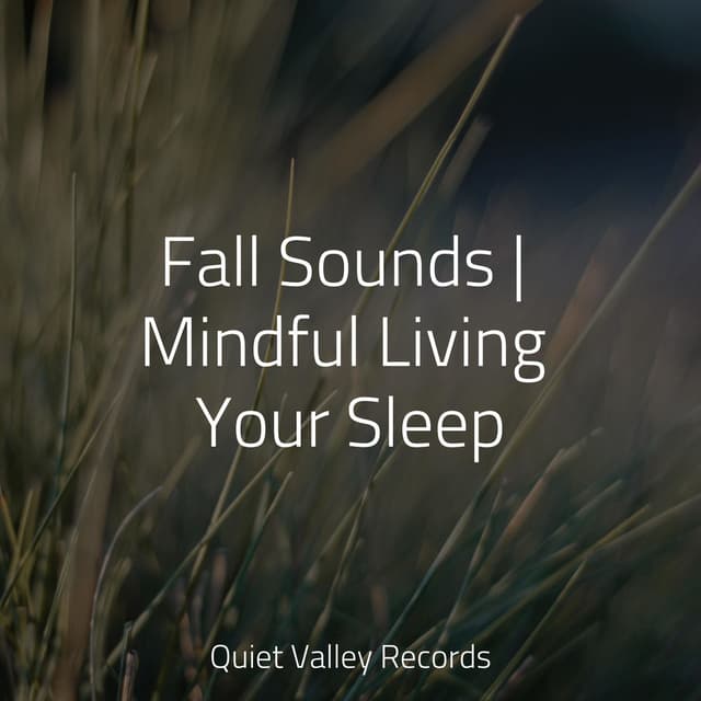 Fall Sounds | Mindful Living Your Sleep