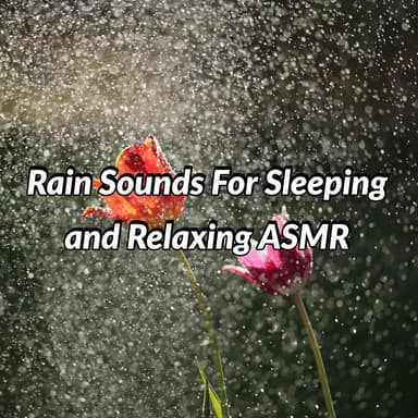 Rain Sounds For Sleeping and Relaxing ASMR
