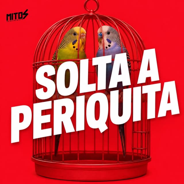 SOLTA A PERIQUITA