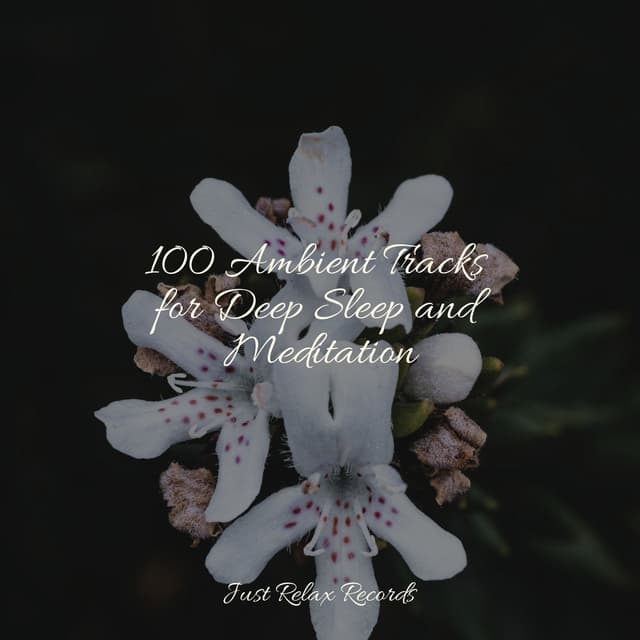 100 Ambient Tracks for Deep Sleep and Meditation