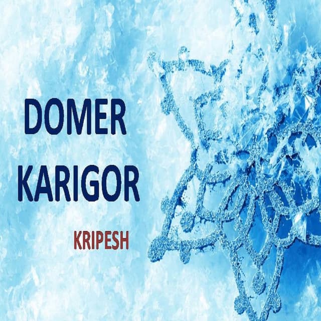 Domer Karigor