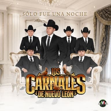 Solo Fue Una Noche