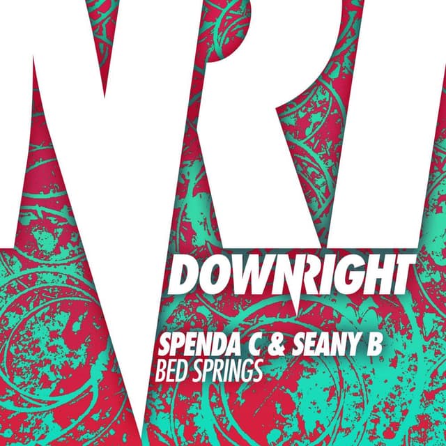 Bed Springs (Remixes)