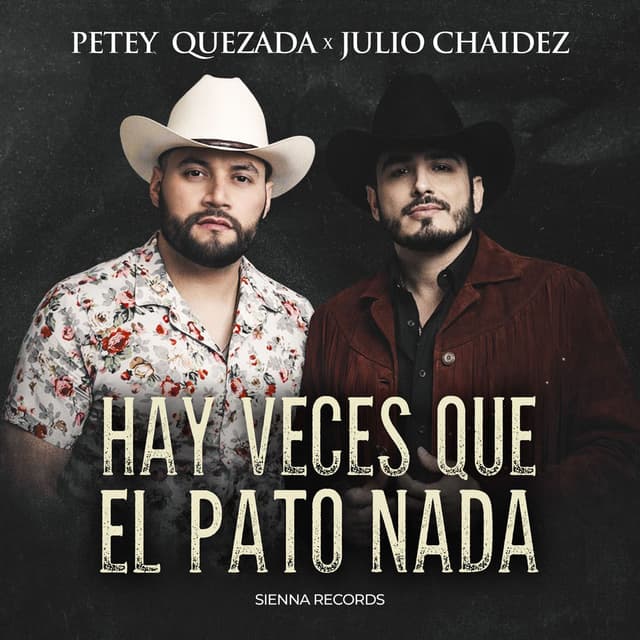 Hay Veces Que El Pato Nada (Remasterizado)