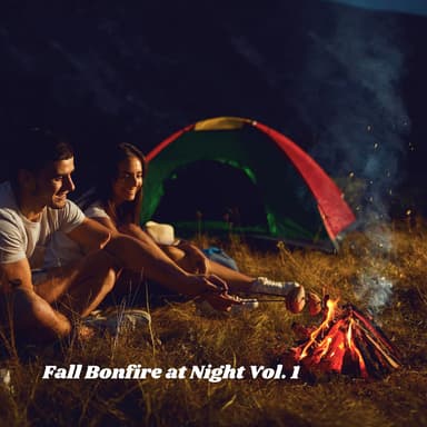 Fall Bonfire at Night Vol. 1