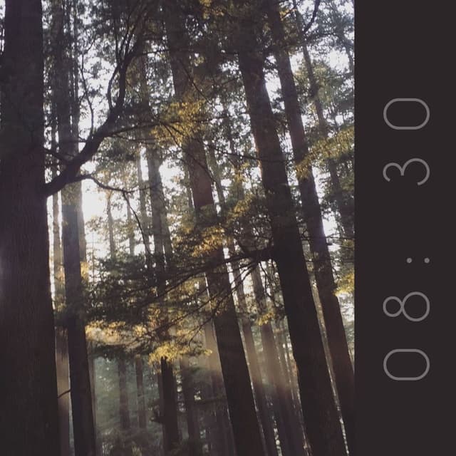 08:30