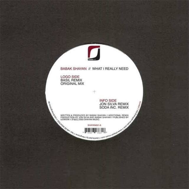 Babak Shayan - What I really need (MP3 Single)