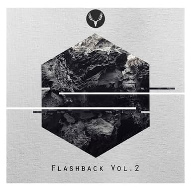 Flashback Vol. 2