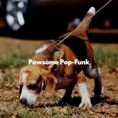 Pawsome Pop-Funk