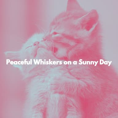 Peaceful Whiskers on a Sunny Day