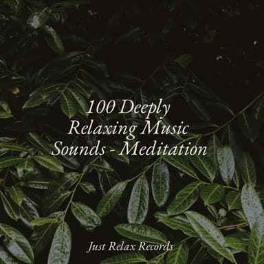 100 Deeply Relaxing Music Sounds - Meditation