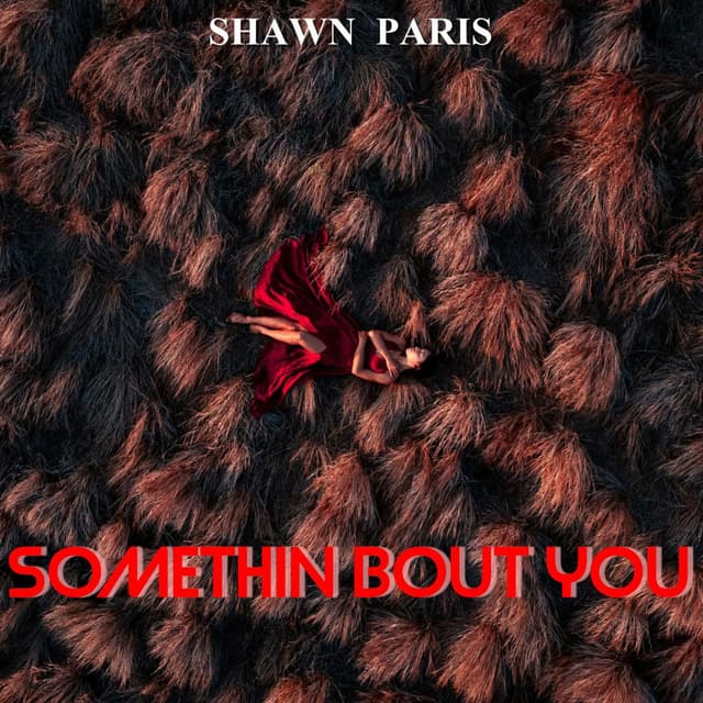 Somethin Bout You