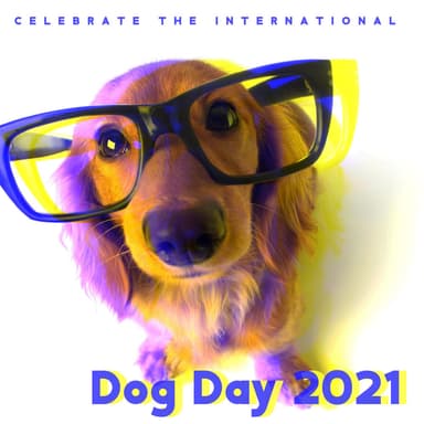 Celebrate the International Dog Day 2021: Improve Your Dog's Focus, Beta Waves to Calm Your Pet