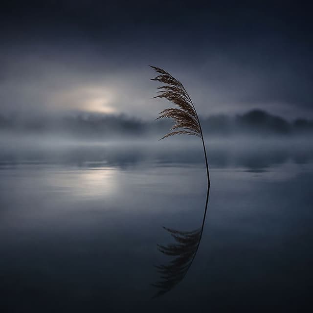 Progressive Stillness