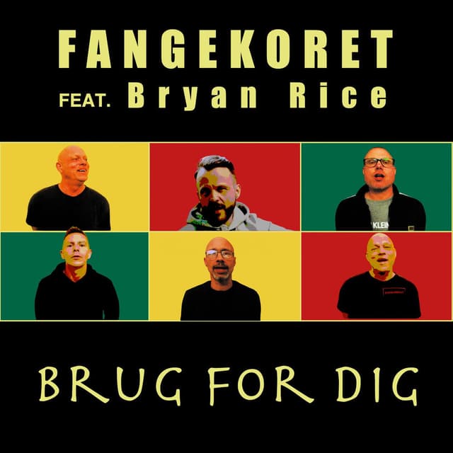 Brug for dig