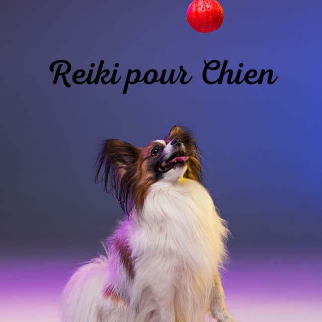 Reiki pour Chien : musique de zoothérapie pour une relaxation profonde