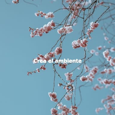 Crea el ambiente