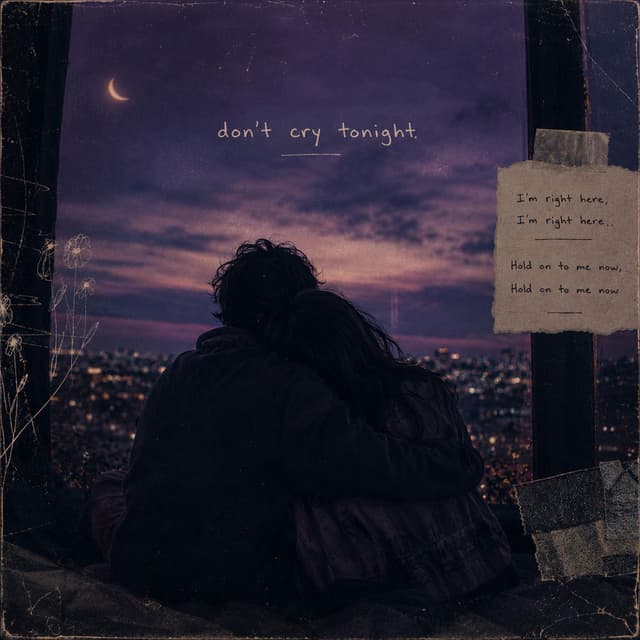 Don't Cry Tonight