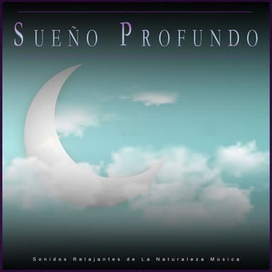 Sueño Profundo: Sonidos Relajantes de La Naturaleza Música