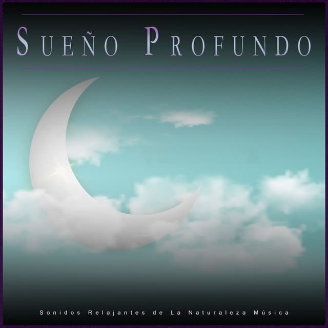 Sueño Profundo: Sonidos Relajantes de La Naturaleza Música