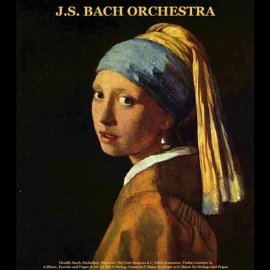 Vivaldi, Bach, Pachelbel, Albinoni: The Four Seasons & L’ Estro Armonico, Violin Concerto in A Minor, Toccata and Fugue & Air On t