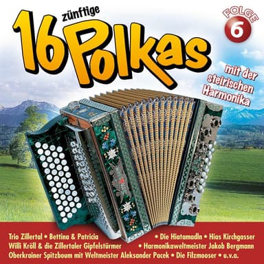 16 zünftige Polkas mit der steirischen Harmonika - Folge 6