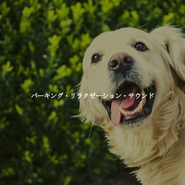 バーキング・リラクゼーション・サウンド