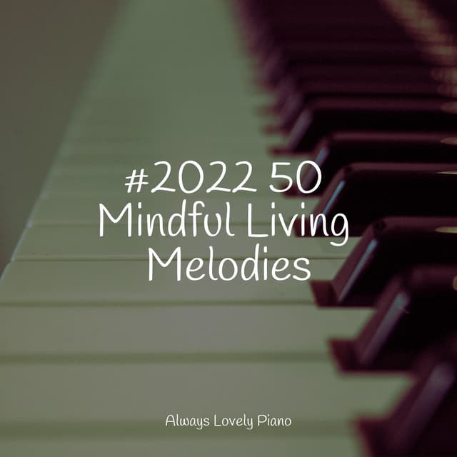 Songs for a Calm Chillout